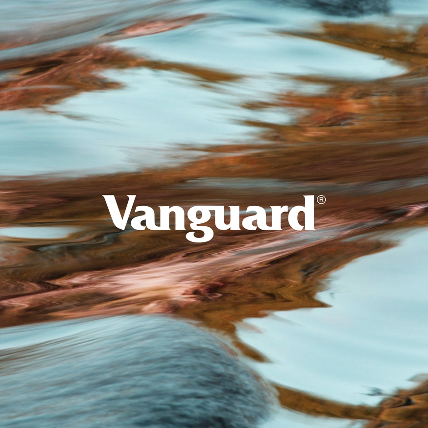 Vanguard customer thumbnail